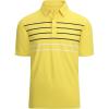 Yellow Stripe