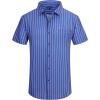 Blue Stripe