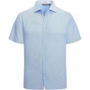 Blue Pinstripe 6974