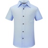 Blueplaid